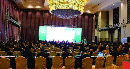 江蘇恒豐強(qiáng)藍(lán)青之夜活動(dòng)